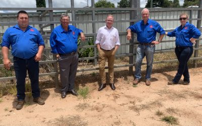 THE SHOW WILL GO ON – ALMOST $100,000 FOR ALSTONVILLE SHOW SOCEITY